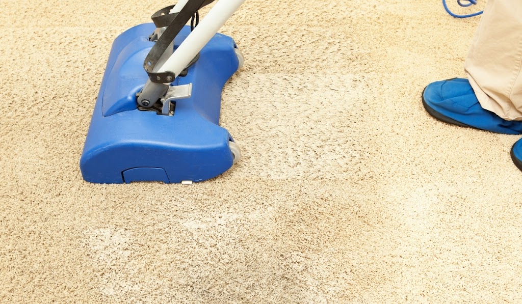 Westchester Area Rug Cleaners | 140 Pelham Rd, New Rochelle, NY 10805 | Phone: (914) 295-2924