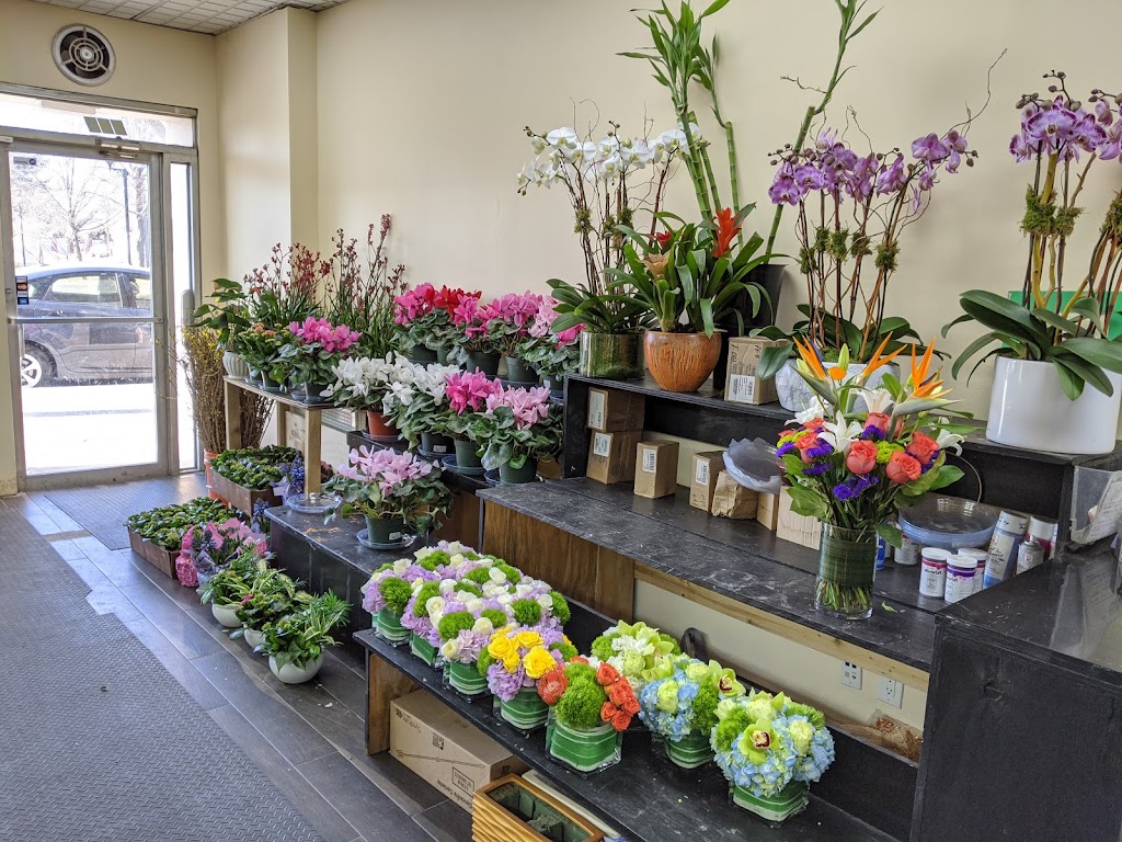 Fresh Flower Market | 643 Middle Neck Rd, Great Neck, NY 11023 | Phone: (516) 407-3363