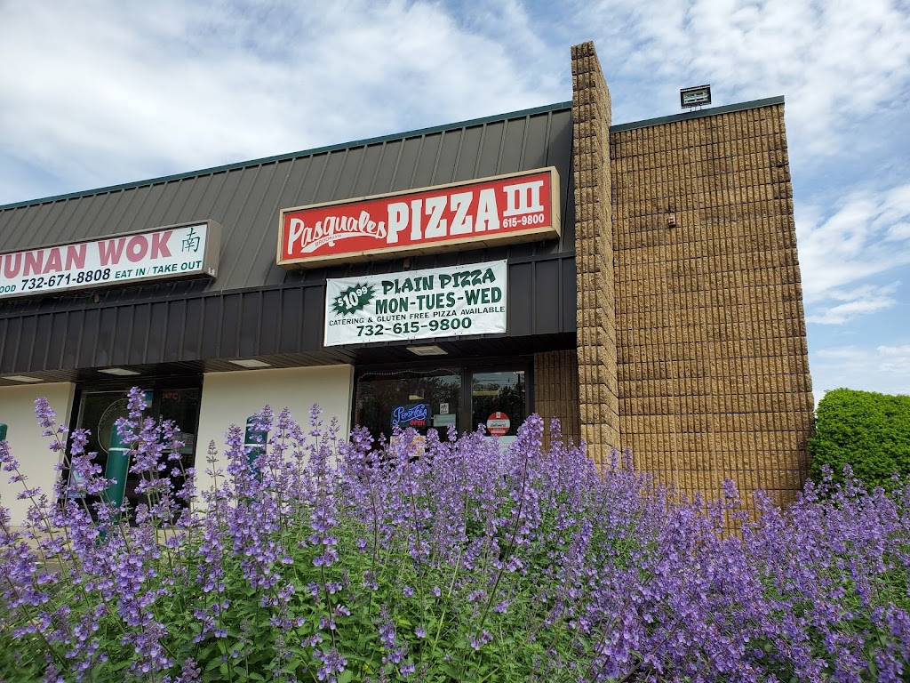 Pasquales Pizzeria III | 147 Cherry Tree Farm Rd, Middletown Township, NJ 07748 | Phone: (732) 615-9800