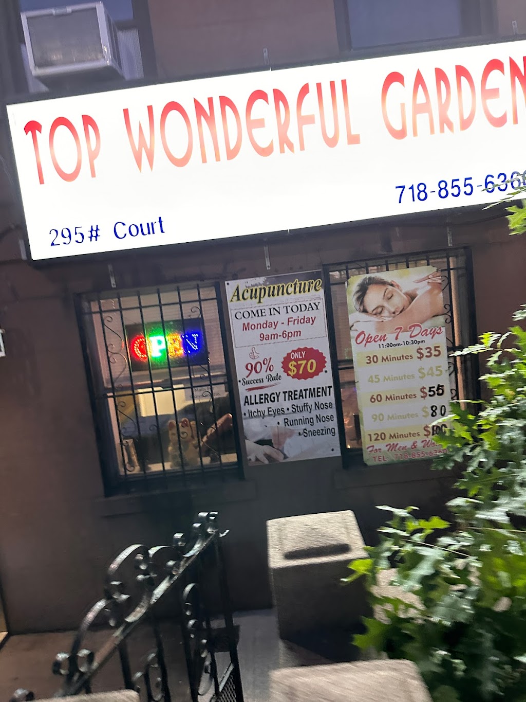 Top Wonderful Garden | 295 Court St, Brooklyn, NY 11201 | Phone: (718) 855-6360
