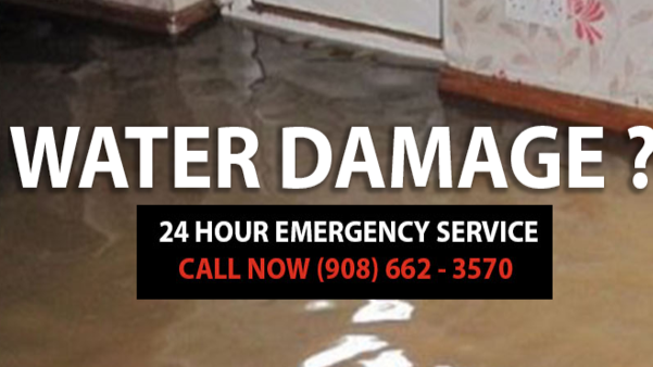 Royal Emergency Disaster Recovery Inc | 829 Magnolia Ave, Elizabeth, NJ 07201 | Phone: (908) 662-3570