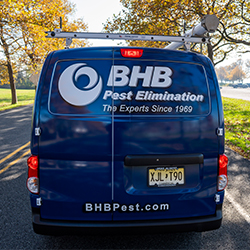 BHB Pest Elimination, LLC | 199 Main Ave, Wallington, NJ 07057 | Phone: (201) 584-6931