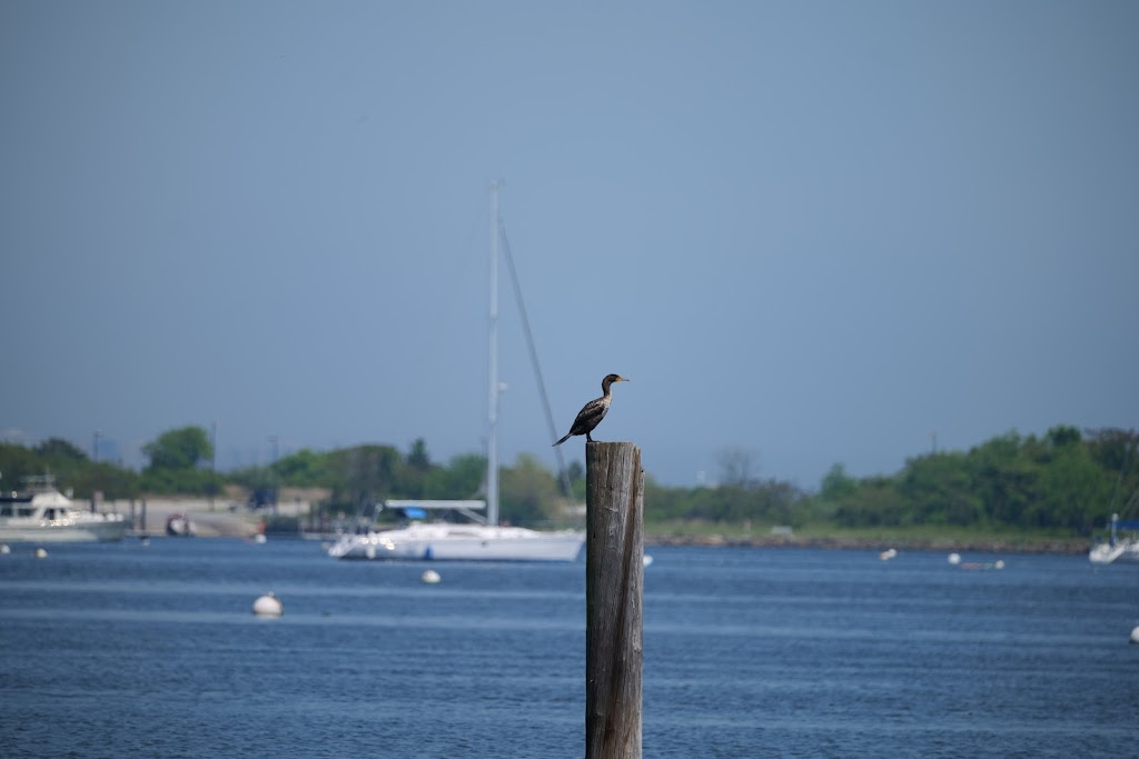 Seaside Wildlife Nature Park | Nelson Avenue &, Tennyson Dr, Staten Island, NY 10308 | Phone: (212) 639-9675