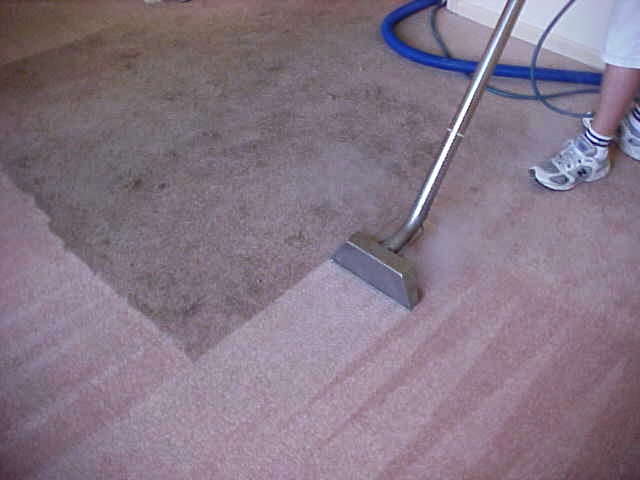 H&M Carpet cleaners | 8 Evergreen St, Bayonne, NJ 07002 | Phone: (347) 849-0421