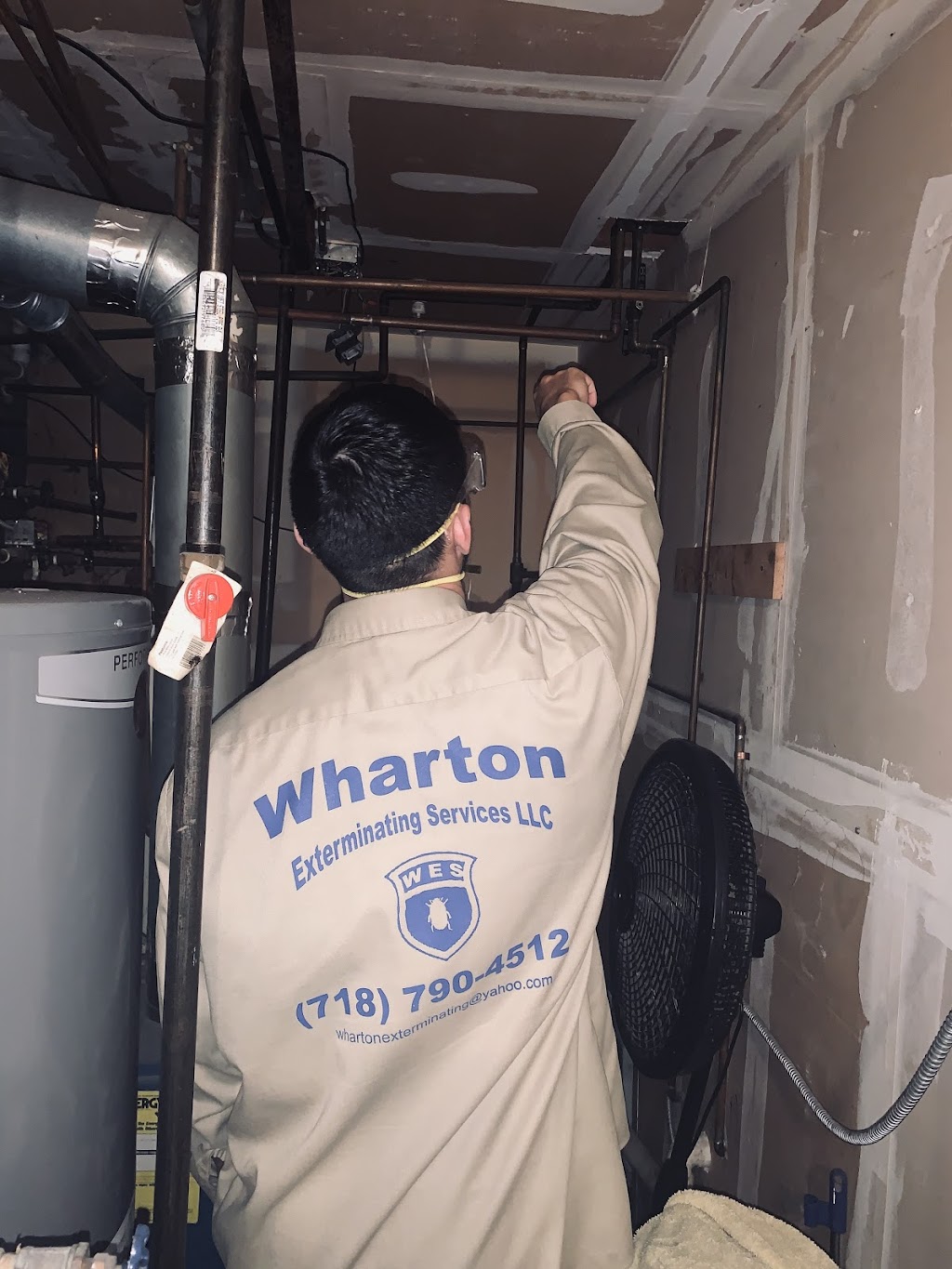 Wharton Exterminating Services | 118-34 204th St, Queens, NY 11412 | Phone: (917) 960-7772