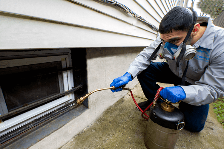 Wharton Exterminating Services | 118-34 204th St, Queens, NY 11412 | Phone: (917) 960-7772